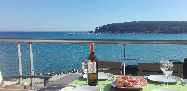 Vue sur le port de plaisance de Morgat